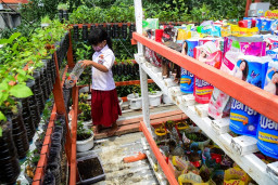 Siswi SDN Nginden 1 Manfaatkan Botol Bekas Budidaya Bunga Melati
