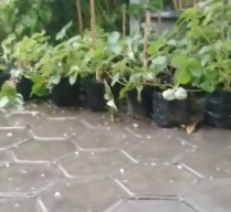 BMKG minta Masyarakat Waspada Terhadap Fenomena Cuaca Ekstrem