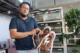 ASN yang Sukses Budidayakan Ular Hias Colubrid