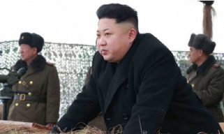 Cegah Klaster Covid-19, Korut Musnahkan Kucing dan Merpati