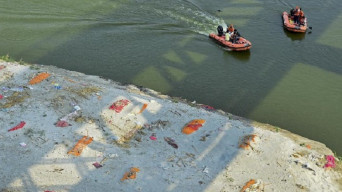 Sungai Gangga Sekarat Menghijau, Warga India Sembah Dewi Corona