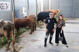 Rayakan Idul Adha, Juragan 99 Group Bagikan Daging Qurban Ditengah Pandemi