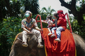 Lebaran, Pengunjung KBS Meningkat Capai 17.801 Orang