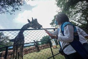 FOTO: Indah Kurnia Ajak Masyarakat Surabaya Miliki KBS