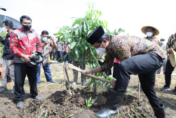 Bupati Sidoarjo Resmikan Wisata Kelengkeng Binaan Himarsita