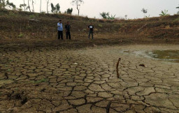 Musim Kemarau Panjang, 500 Lebih Embung di Bojonegoro Retak-retak Mengering