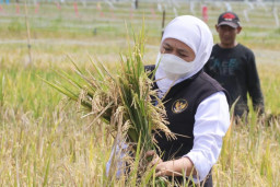 NTP Jatim Juni 2023 Naik 0,36 Persen