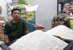 Harga Beras di Sejumlah Pasar Mulai Stabil, Sentuh Rp 11.000-12.000/Kg