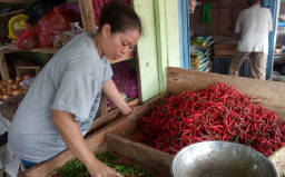 Harga Cabai Rawit Kian Terkontrol, Turun Rp 32 Ribu per Kilogram