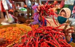 Kenaikan Harga Cabai Hingga Tiket Pesawat Jadi Pendorong Tingkat Inflasi
