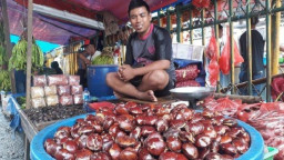 Harga Jengkol di Pasaran Melonjak 3 Kali Lipat Tembus Rp 60 Ribu