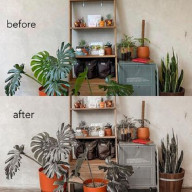 Bisnis Edit Foto Preset yang Diminati Kaum Milenial