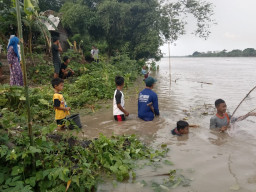 Covid, Tak Surutkan Warga Tepi Bengawan Solo Berburu Ikan Mabuk