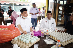 Peternak Bebek Minta Kelana Bantu Pemasaran