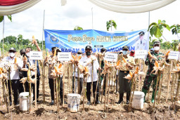 Covid, Produksi Jagung di Lamongan Masih Stabil