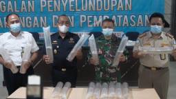 Bea Cukai Juanda Gagalkan Penyelundupan 29.250 Benih Lobster Ilegal