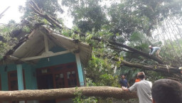 Pohon Roboh, 3 Rumah Rusak Parah