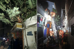 Si Jago Merah Lahap Satu Rumah, 3 Anggota Keluarga Luka Serius