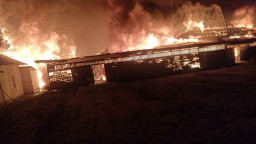 20 Ton Gabah di Penggilingan Padi Ngawi Ludes Terbakar