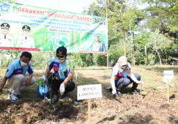 Peduli Lingkungan, Lamongan Gerakkan Tanam Bambu