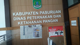 Dinas Peternakan dan Ketahanan Pangan Patuhi Protokol Kesehatan saat Menyembelih Hewan Kurban