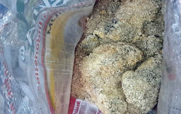 Beras Bansos di Sidoarjo Menggumpal, Berwarna Kuning dan Berbau