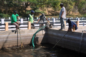 Antisipasi Overload dan Kurangi Dampak Bau, DLHKP Kota Kediri Normalisasi Kolam Air Lindi di TPA