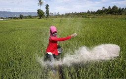 Petani Kabupaten Mojokerto Berpotensi Alami Kelangkaan Pupuk Bersubsidi