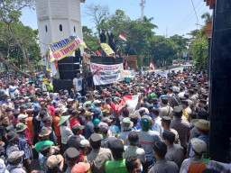 Kuota Pupuk Subsidi Dihapus, Ribuan Petani Lamongan Murka