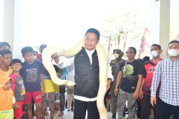 Beri Ruang ke Penghobi Binatang, Lamongan Gelar Expo Binatang Kesayangan