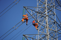 Sambut KTT G20, Lakukan Pemeliharaan 157 Tower PLN Perkuat Sistem Paiton Situbondo