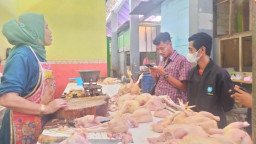 Harga Daging Ayam Naik, Omzet Penjual Malah Terjun Bebas