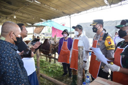 Pemkab Sidoarjo Sediakan Lapak Resmi Penjualan Hewan Kurban