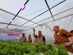 Bukti Negara Hadir, Program TJSL PLN Sukses Geliatkan Ekonomi Desa Wisata Tani Betet