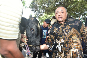 Penyebaran Penyakit PMK di Lamongan Sudah Meluas 26 Kecamatan