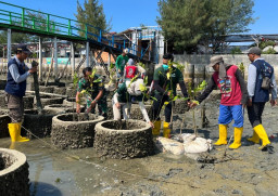 Kembangkan Potensi Ekowisata Pantai Kutang dan Normalisasi Pesisir, PLN Peduli Tanam 3000 Mangrove