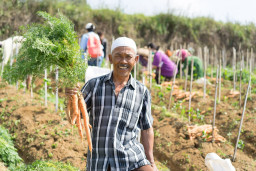 Rayakan Hari Tani Nasional, EdenFarm Komitmen Tingkatkan Kesejahteraan Petani