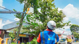 Gandeng Pemkab Jember, PLN Terapkan Budaya Keselamatan Ketenagalistrikan