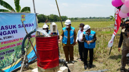 Konsumsi Listrik Sektor Pertanian di Jawa Timur Naik, PLN Wujudkan Ketahanan Pangan melalui Electrifying Agriculture