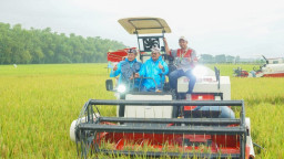 Produksi Padi Menurun, Tapi Nilai Tukar Petani (NTP) Lamongan Naik