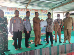 BSIP Jatim Hadiri Temu Lapang dan Panen Raya Padi di Kabupeten Sumenep