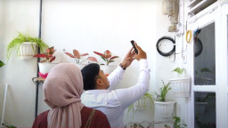 Tagihan Listrik Membengkak? Simak Tips Menghitung Pemakaian Listrik Untuk Rumah Tangga