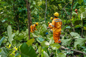 PLN Tingkatkan Keamanan Penyaluran Listrik Tegangan Ekstra Tinggi pada Sistem Interkoneksi Jawa - Bali