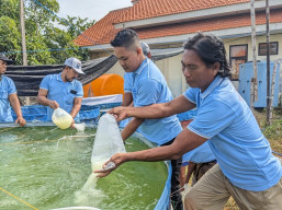 Pemuda Tanggulrejo Diajak Budidaya Bandeng Sistem Kolam Terpal