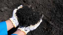 PLN Berhasil Kelola FABA Untuk Dimanfaatkan Jadi Material Batako hingga Tanggul Laut