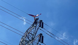 PLN UPT Bali, Amankan Layang-Layang Dan Rabas Pohon Setinggi Kabel SUTT