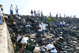Peringati Hari Lingkungan Hidup, PLN Gelar Aksi Bersih Pantai di 8 Lokasi di Jatim