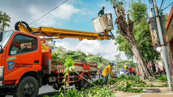 Berkontribusi Turunkan Gangguan Hingga 30 Persen, PLN Gelar Pemeliharaan Tanpa Padam