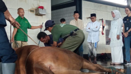 Jumlah Penyembelihan Hewan Kurban di Malang Raya Meningkat