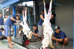 Lapas Mojokerto Sembelih 16 Ekor Hewan Kurban